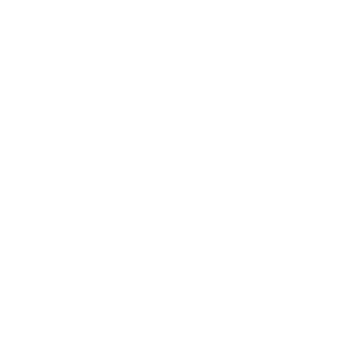 Custom Home Builder Home Icon